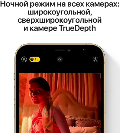 Смартфон Apple iPhone 12 Pro 256G Золотой «Как новый»