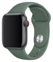 Ремешок для умных часов Everstone ES-AWBS-108 Apple Watch 38/40мм силиконовый Green