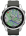 Часы Garmin Fenix 7S Серебристые