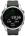 Часы Garmin Fenix 7S Серебристые