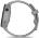Часы Garmin Forerunner 255S Powder Серые