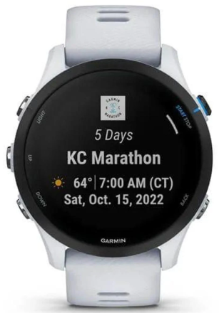 Часы Garmin Forerunner 255S Music Белые