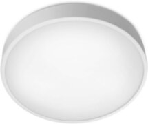 Умный светильник Yeelight 2020 Smart LED Ceiling Light White (YLXD76YL)